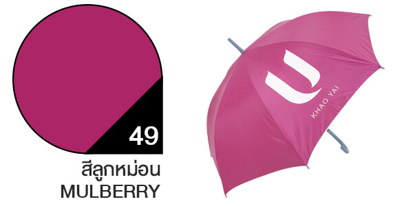 สีผ้าร่มสั่งผลิต ร่มสีลูกหม่อน #49 สีผ้าร่มสั่งผลิต ร่มสีลูกหม่อน #49
